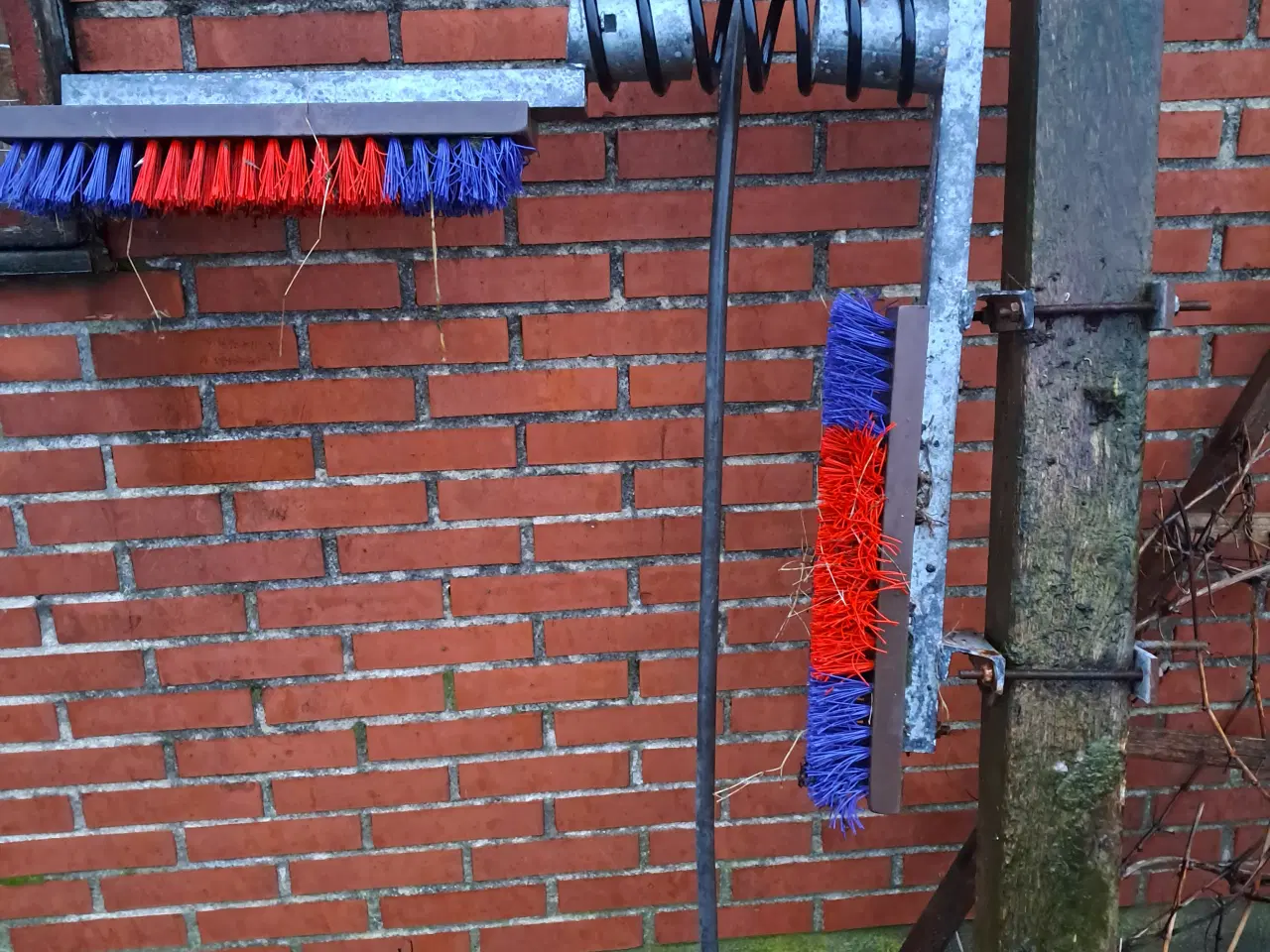 Billede 1 - Ko børste 