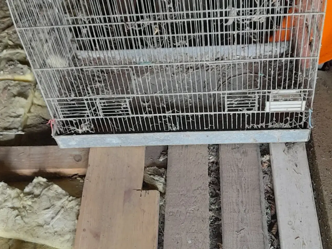 Billede 2 - Hamster bur sælges