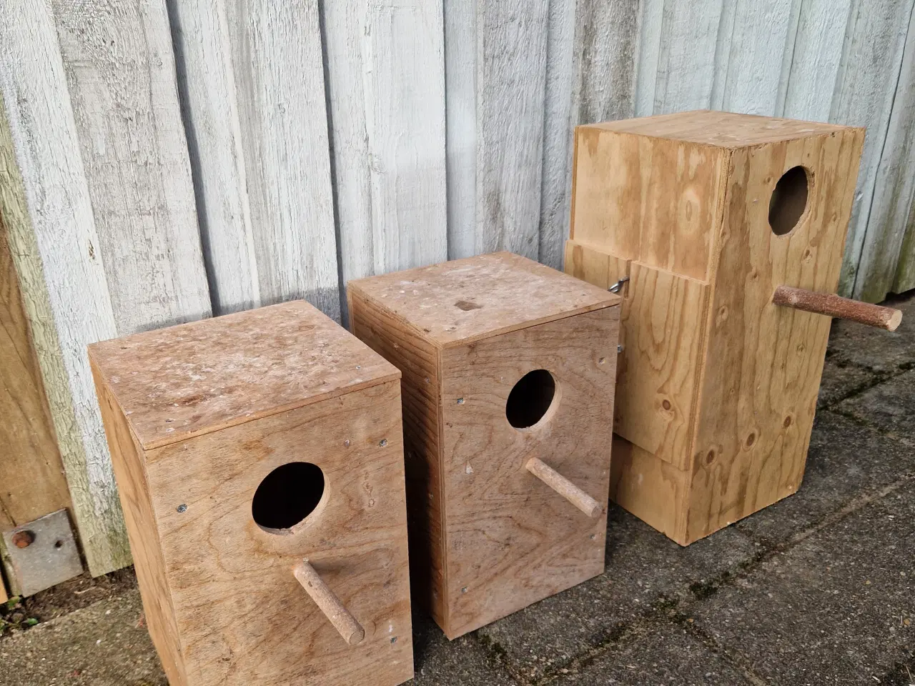 Billede 1 - Ynglekasser til parakitter. 