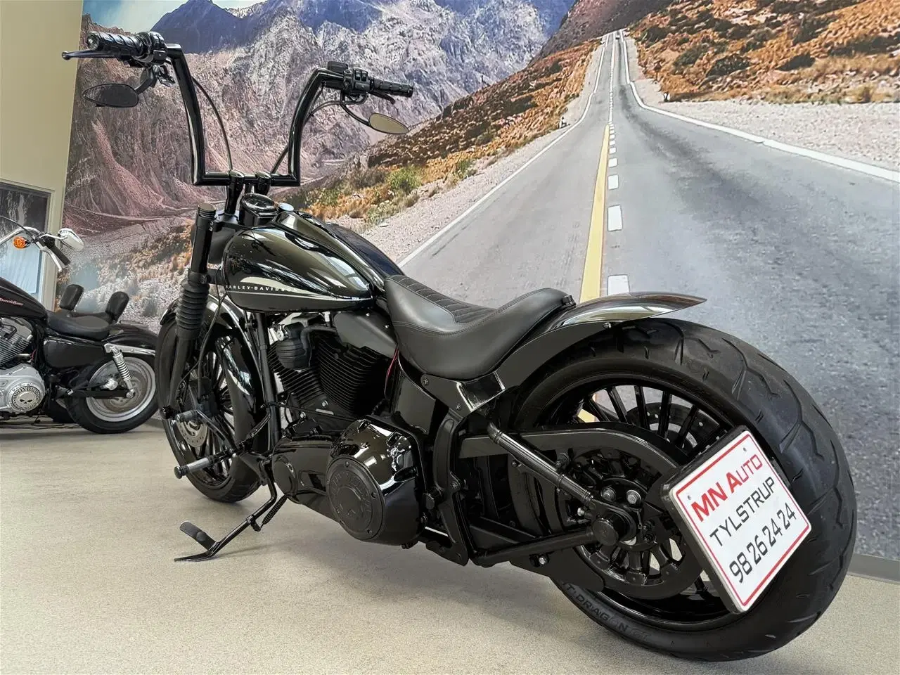 Billede 17 - Harley-Davidson FXS Blackline 110"