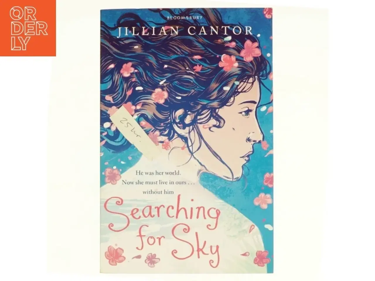 Billede 1 - Searching for Sky af Jillian Cantor (Bog)