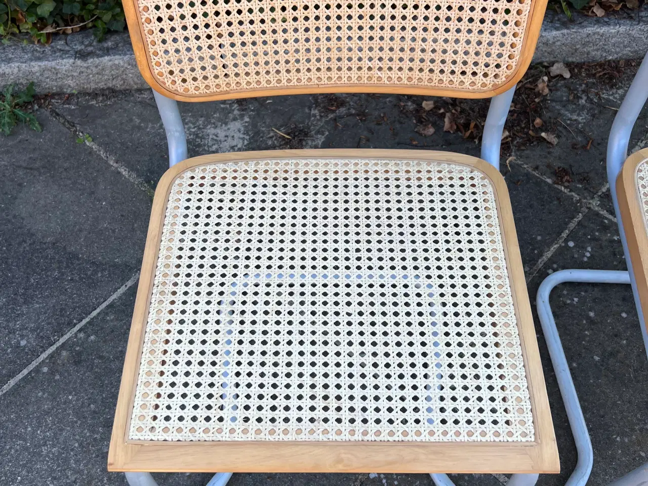 Billede 3 - Frisvinger med stable stel 