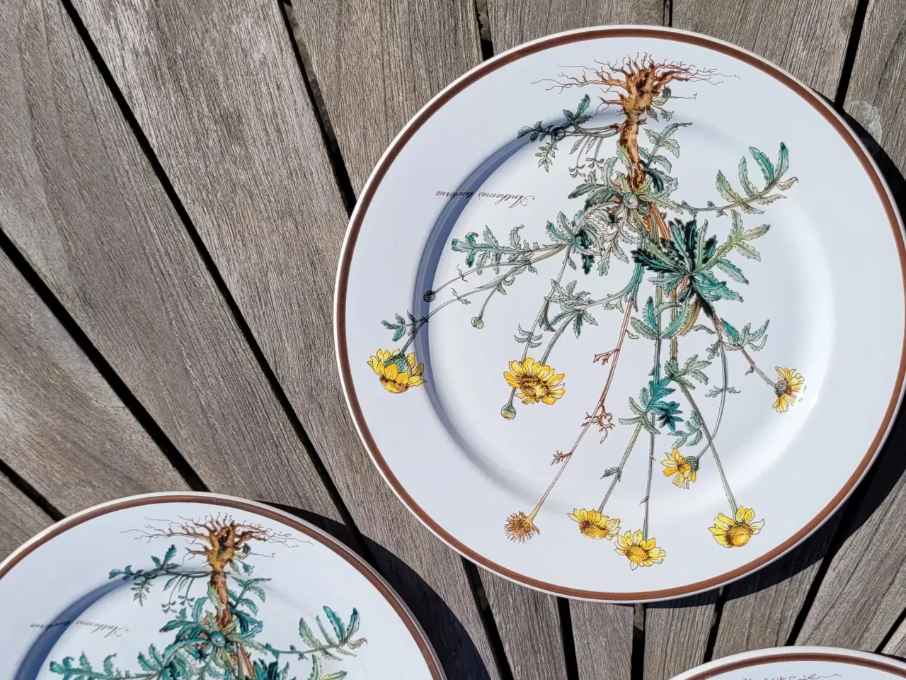 Billede 4 - Villeroy&Boch Botanica middagstallerkener