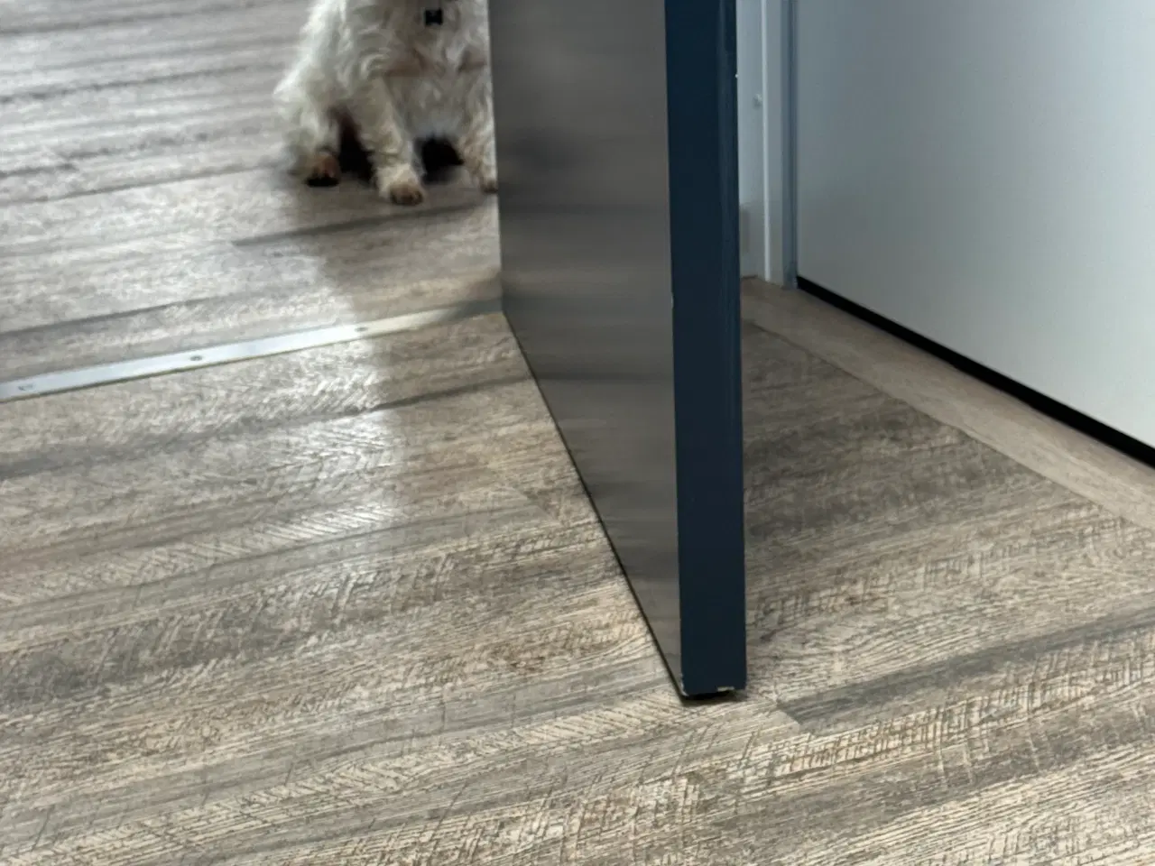 Billede 12 - Shih tzu blandinger 