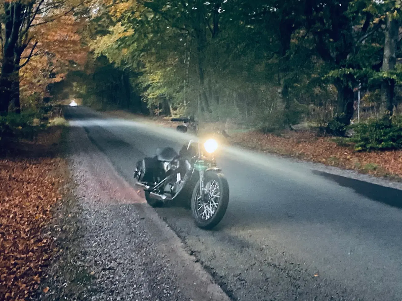 Billede 1 - Harley Davidson XL1200N Nightster