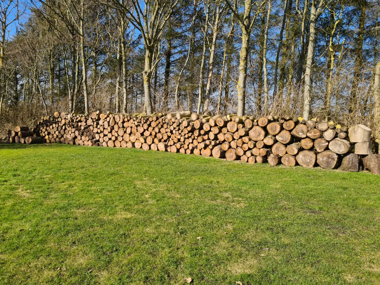 Billede 1 - Brænde sælges