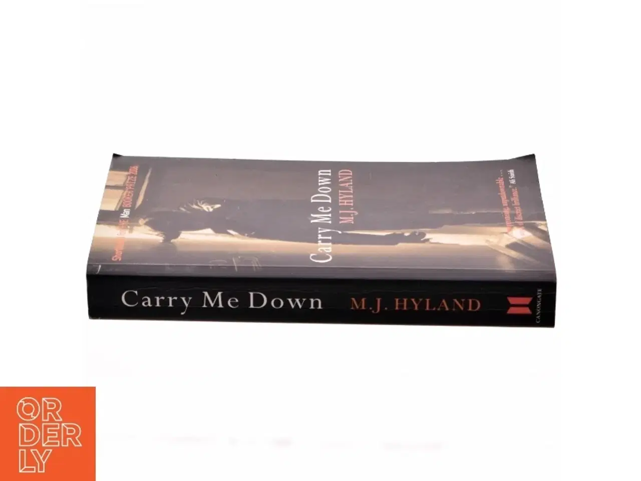 Billede 2 - Carry me down af M. J. Hyland (Bog)