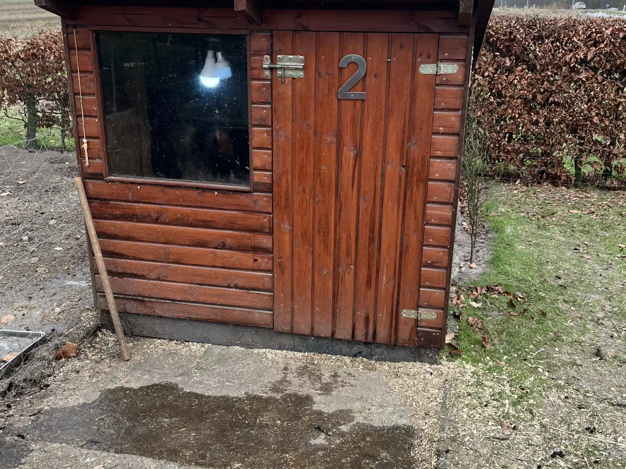 Billede 2 - til dig som mangler et hønsehus 