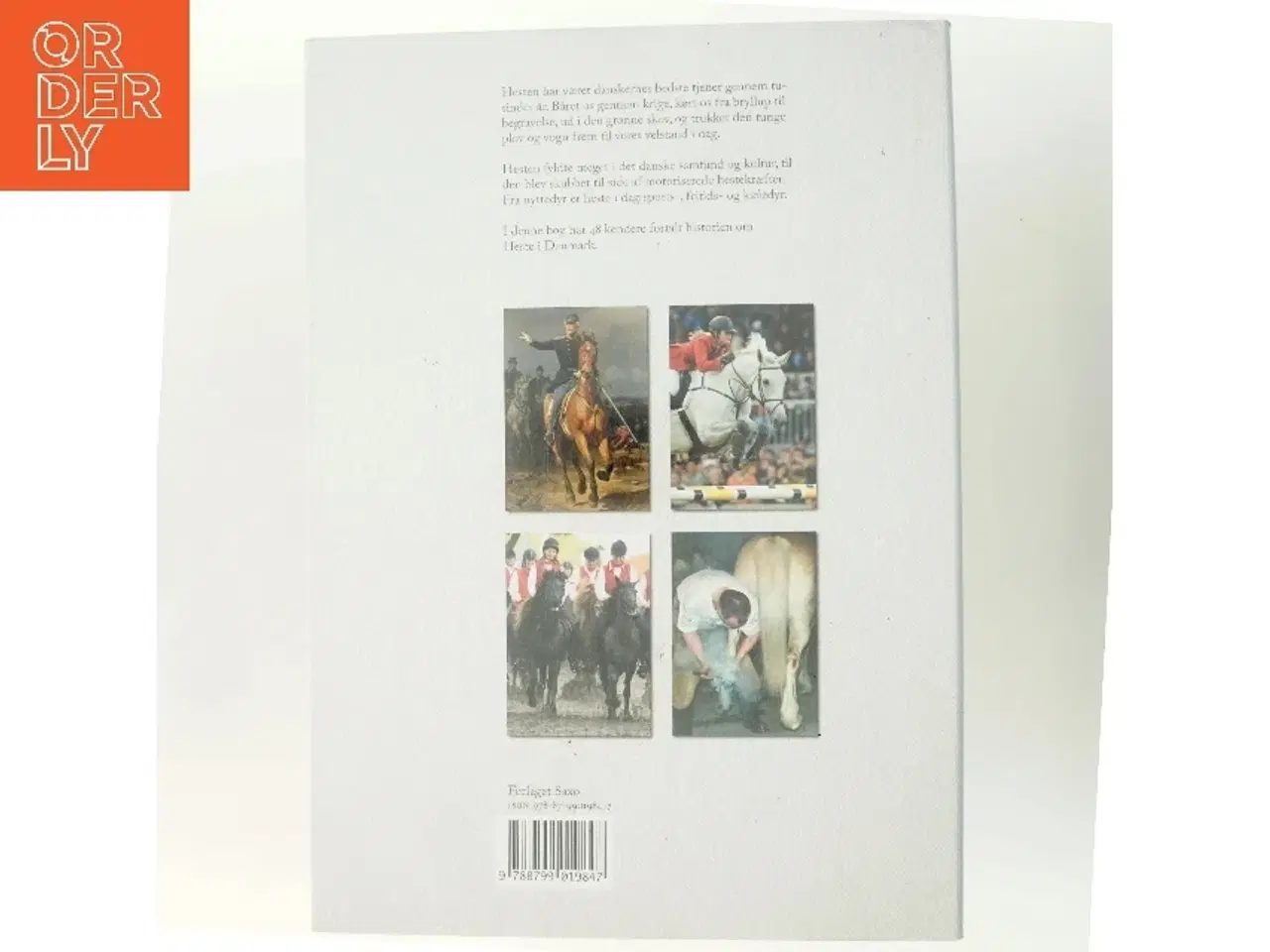 Billede 3 - Heste i Danmark af Chr. Heilskov Rasmussen & Ib Møller (Bog)