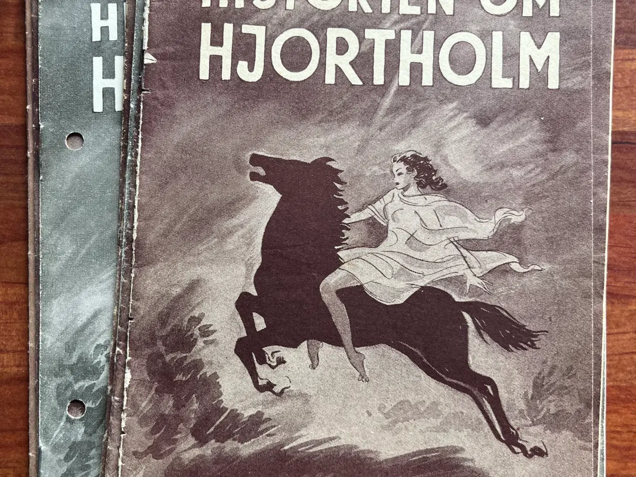 Billede 1 - Historien om Hjortholm