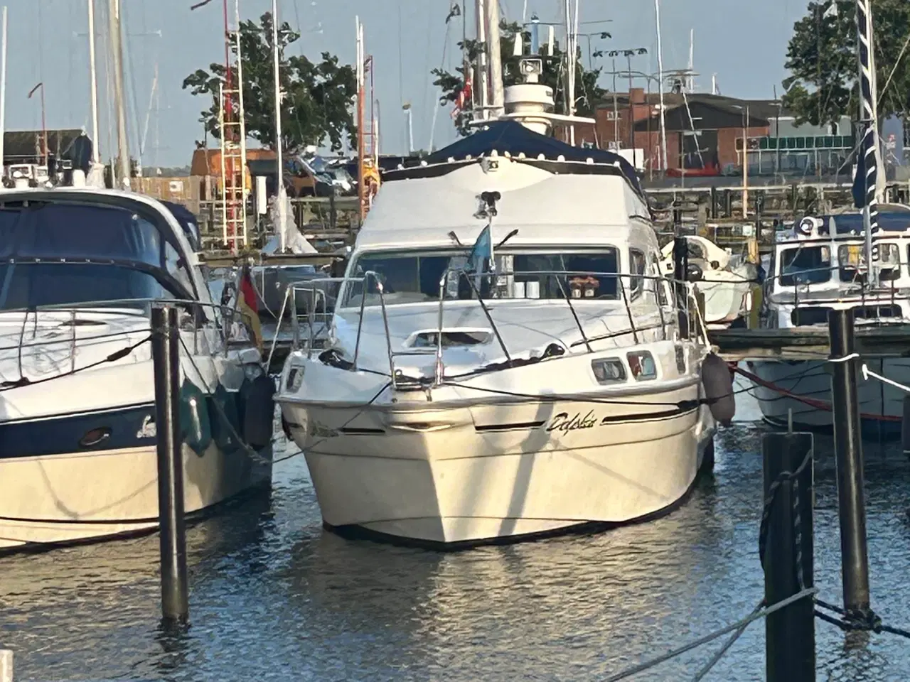 Billede 1 - Sealine 310