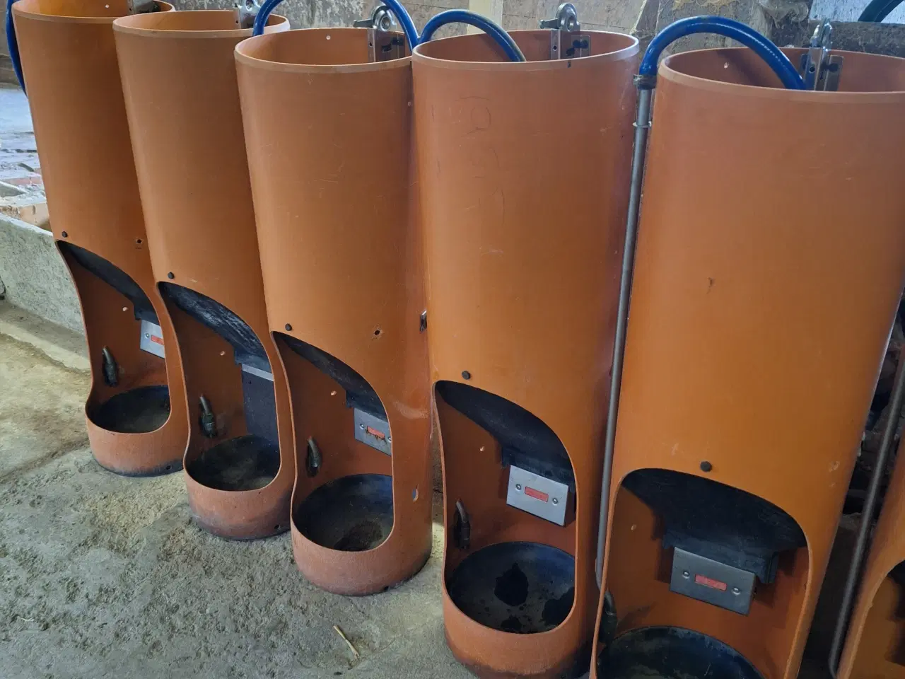 Billede 7 - Tigsa Sanifood foderautomat til slagtesvin
