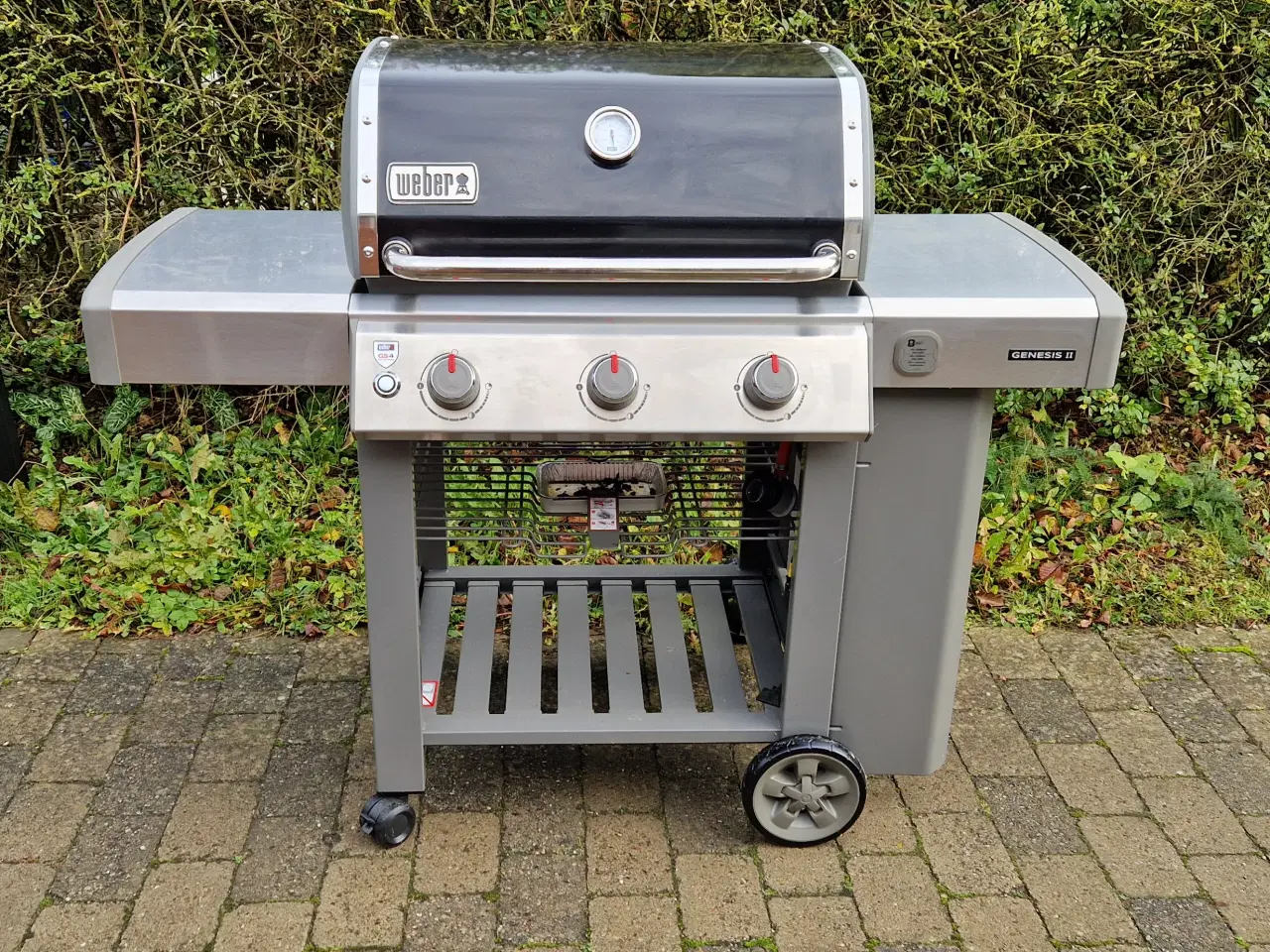 Billede 1 - Weber Genesis II E-310 GBS