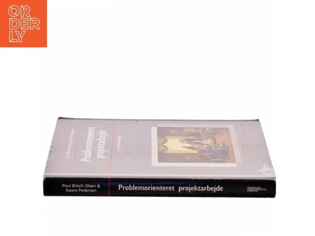 Billede 2 - Problemorienteret projektarbejde (Bog)