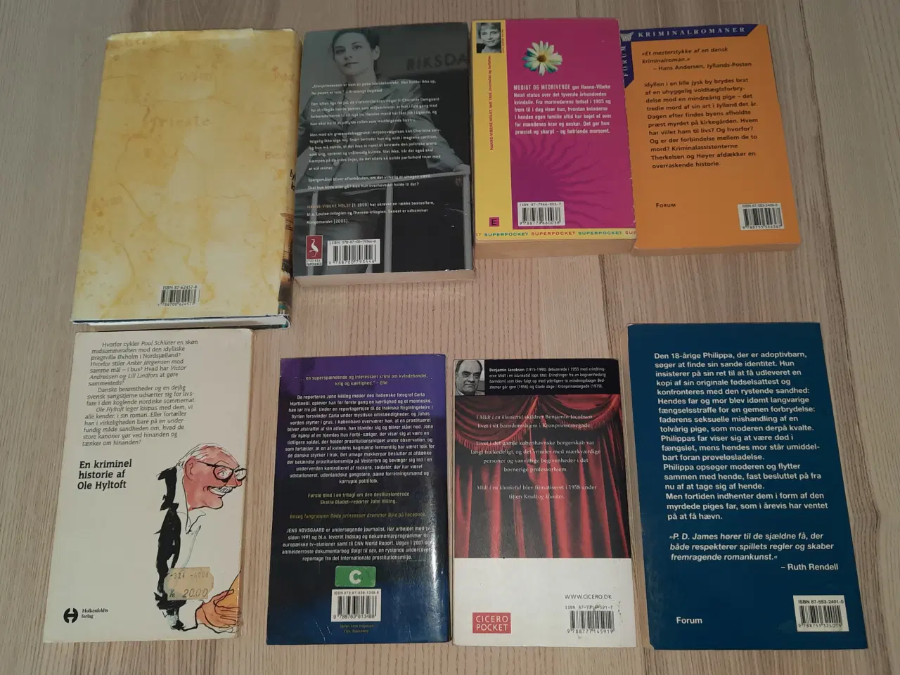 Billede 8 - Karen Fastrup, Udfordringen