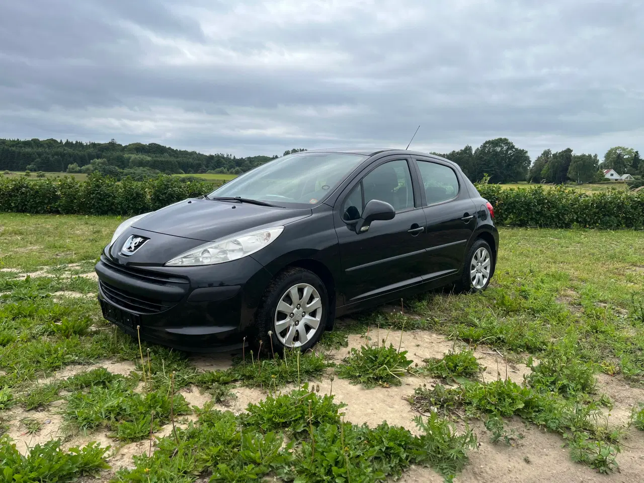 Billede 1 - Peugeot 207 1,6 hdi