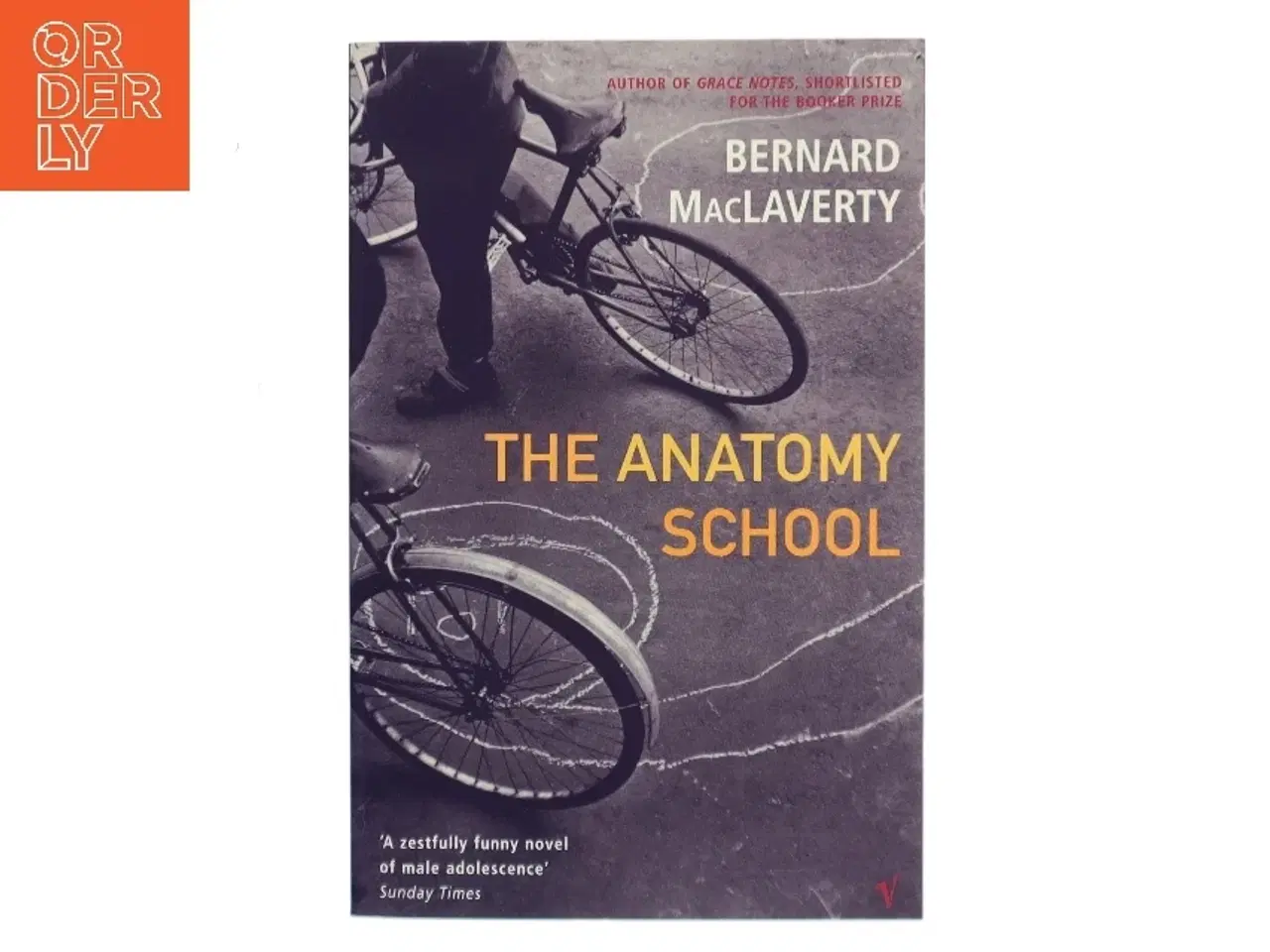 Billede 1 - The Anatomy School af Bernard MacLaverty (Bog)