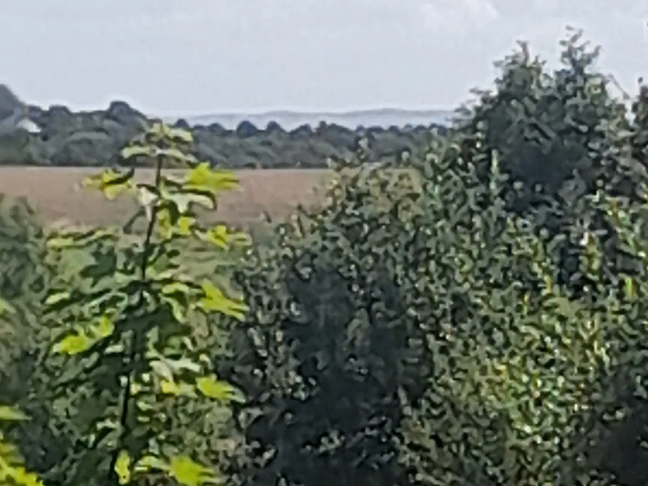 Billede 5 - Bygge grund 