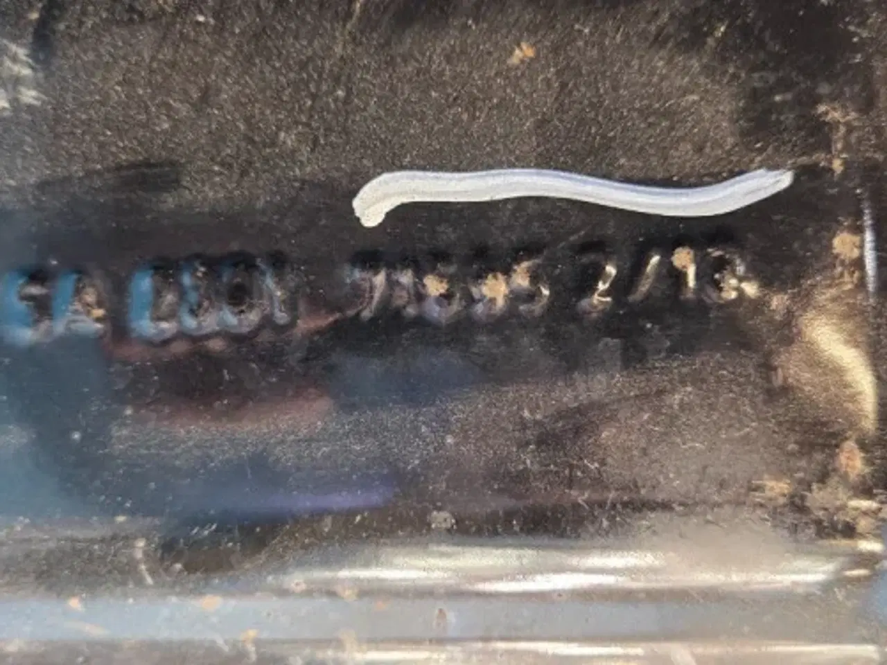 Billede 5 - Case 844S Lydpotte