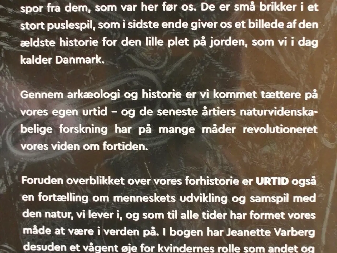Billede 3 - urtid - histoien om danmark fra stenalder til viki