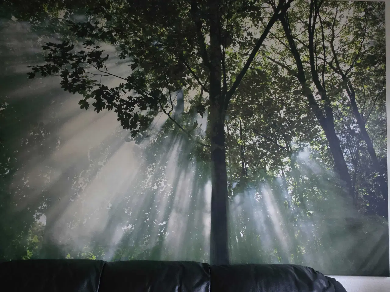 Billede 3 - Rigtig flot Billed på Lærred