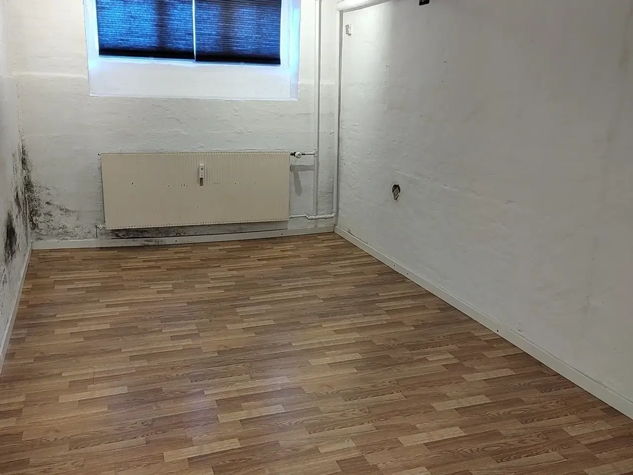 Billede 1 - Gode kælder lokaler i Rødovre