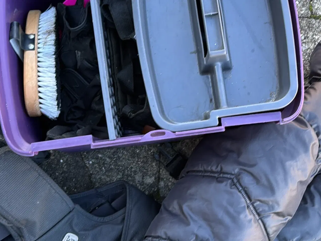 Billede 5 - Rideudstyr og heste pleje 