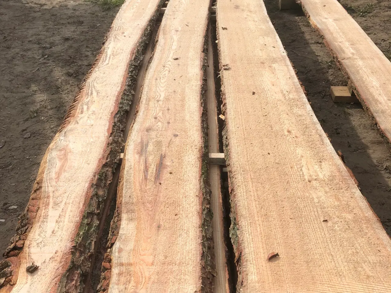 Billede 4 - Kalmarbrædder lærketræ