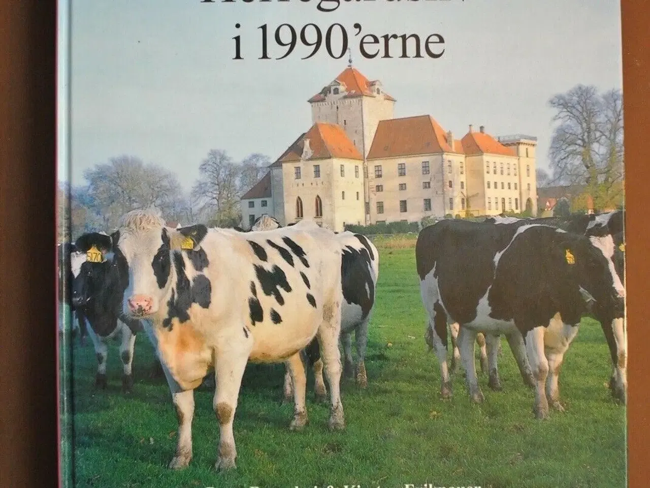 Billede 1 - herregårdsliv i 1990'erne, af peter bavnshøj og ki