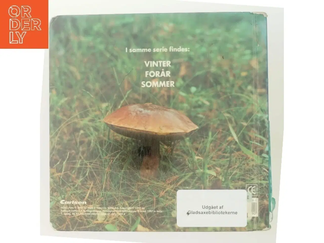 Billede 3 - Efterår af Mats og Veronica Wirstrom (Bog)