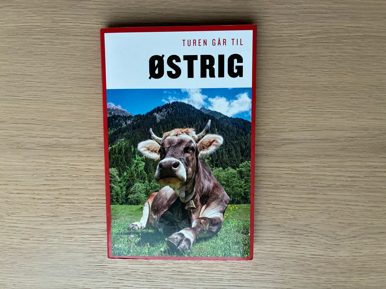 Billede 1 - Turen går til ØSTRIG