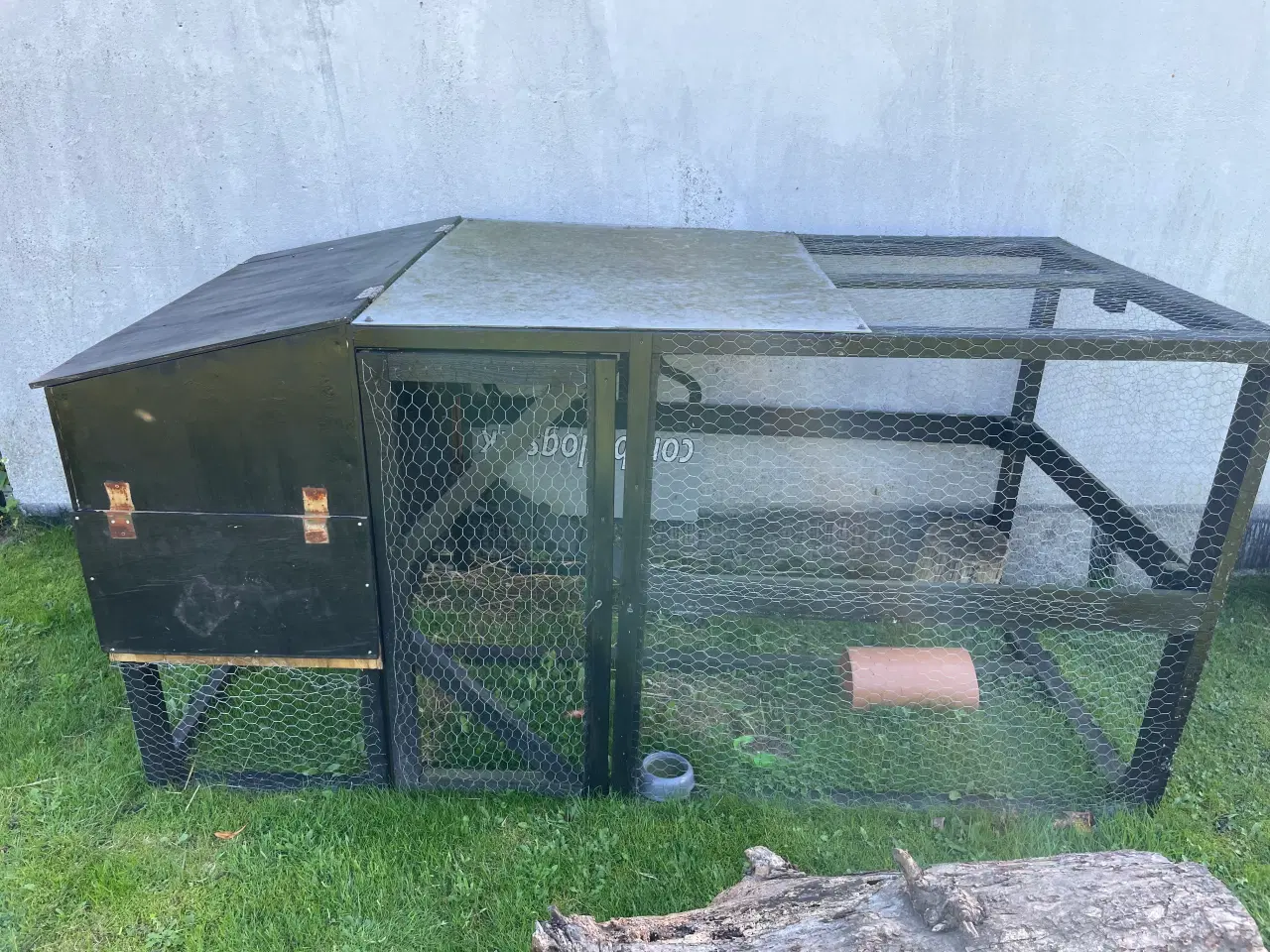 Billede 6 - Minilop hun med det hele til 
