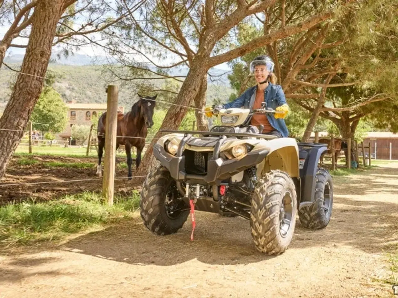 Billede 8 - Yamaha Kodiak 450 EPS SE