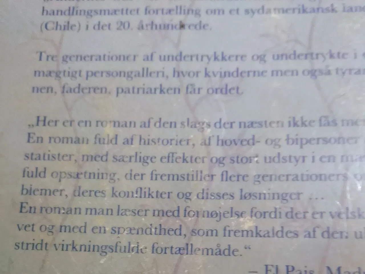 Billede 2 - Isabel Allende: Åndernes hus.