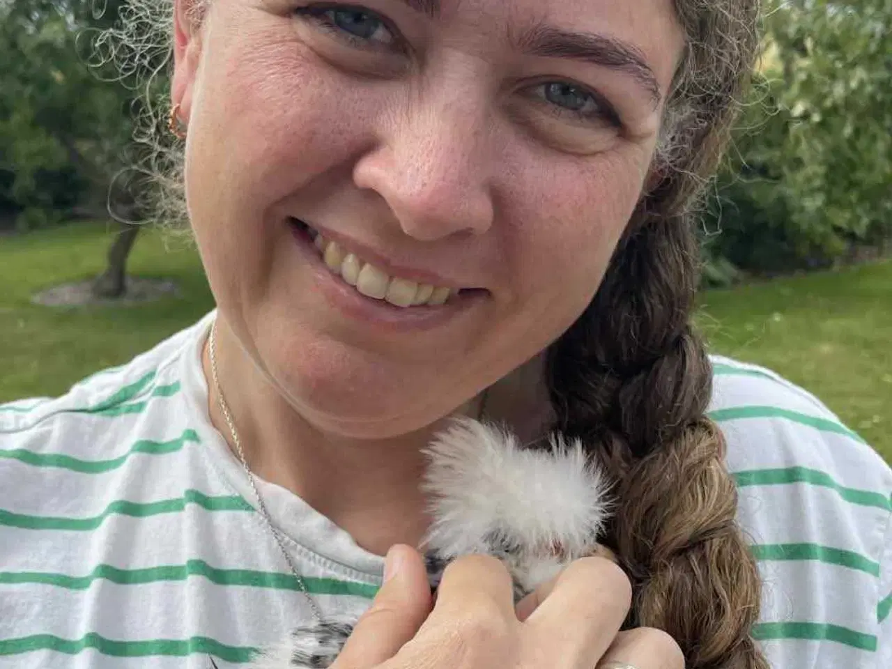 Billede 2 - Amerikanske Silkekyllinger 