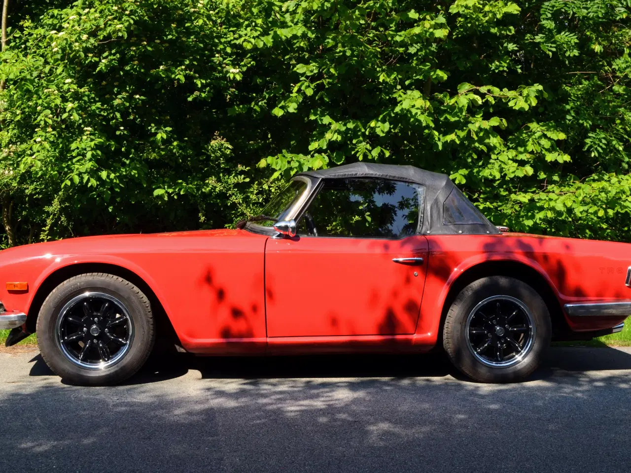 Billede 8 - TRIUMPH TR 6. 2,5. Roadster 1970