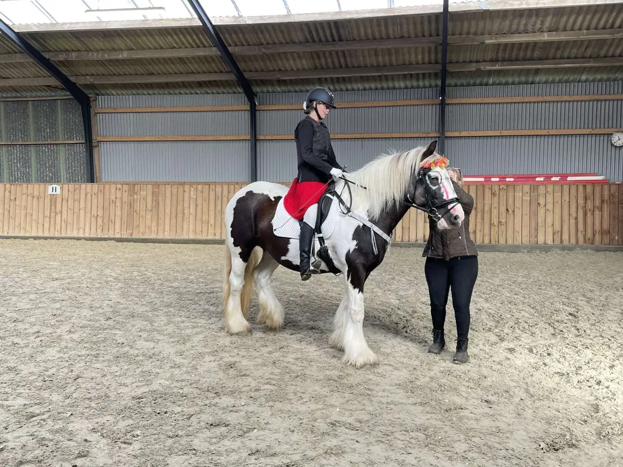 Billede 2 - Tinker hoppe 