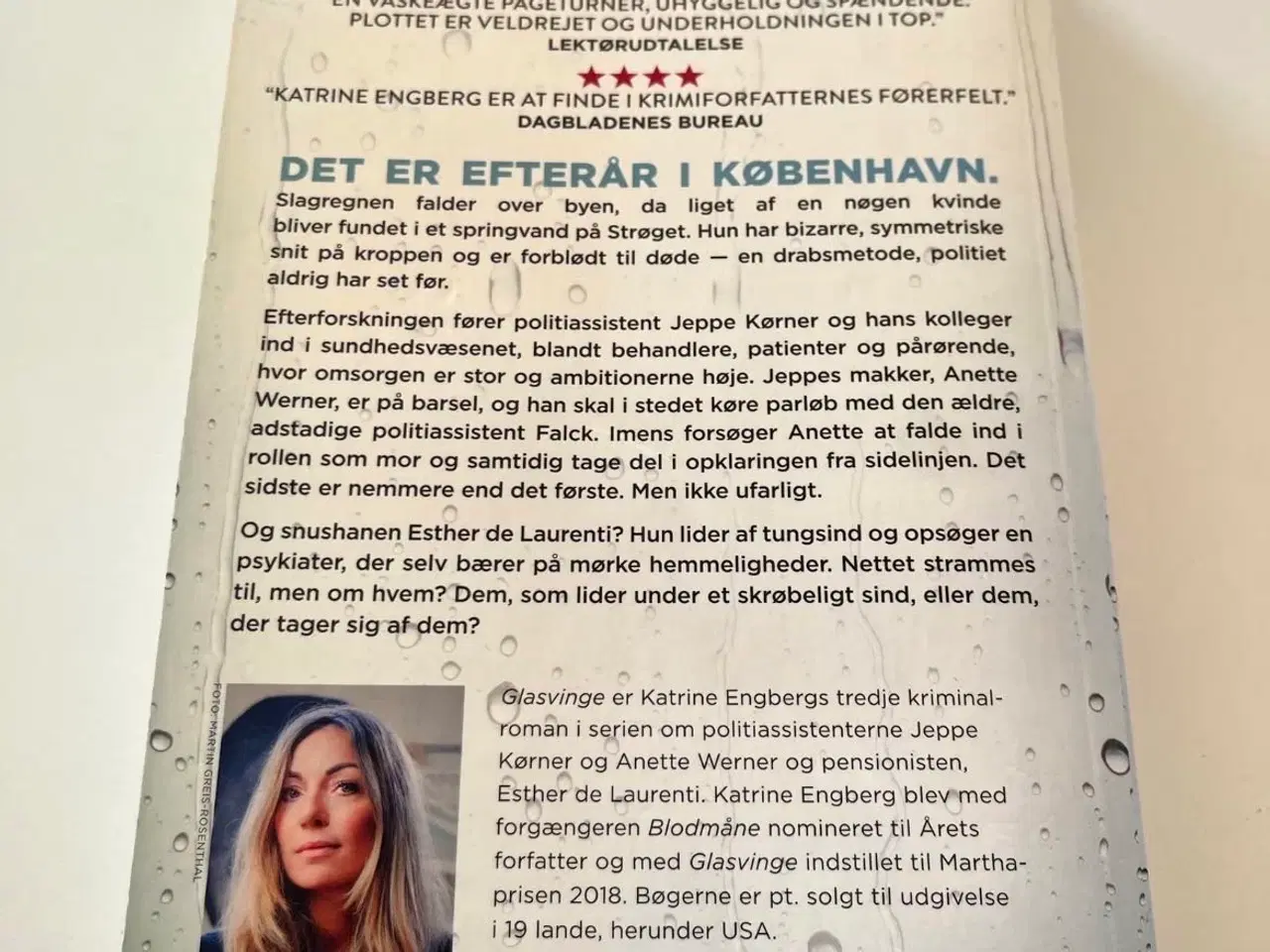 Billede 2 - Glasvinge af Katrine Engberg