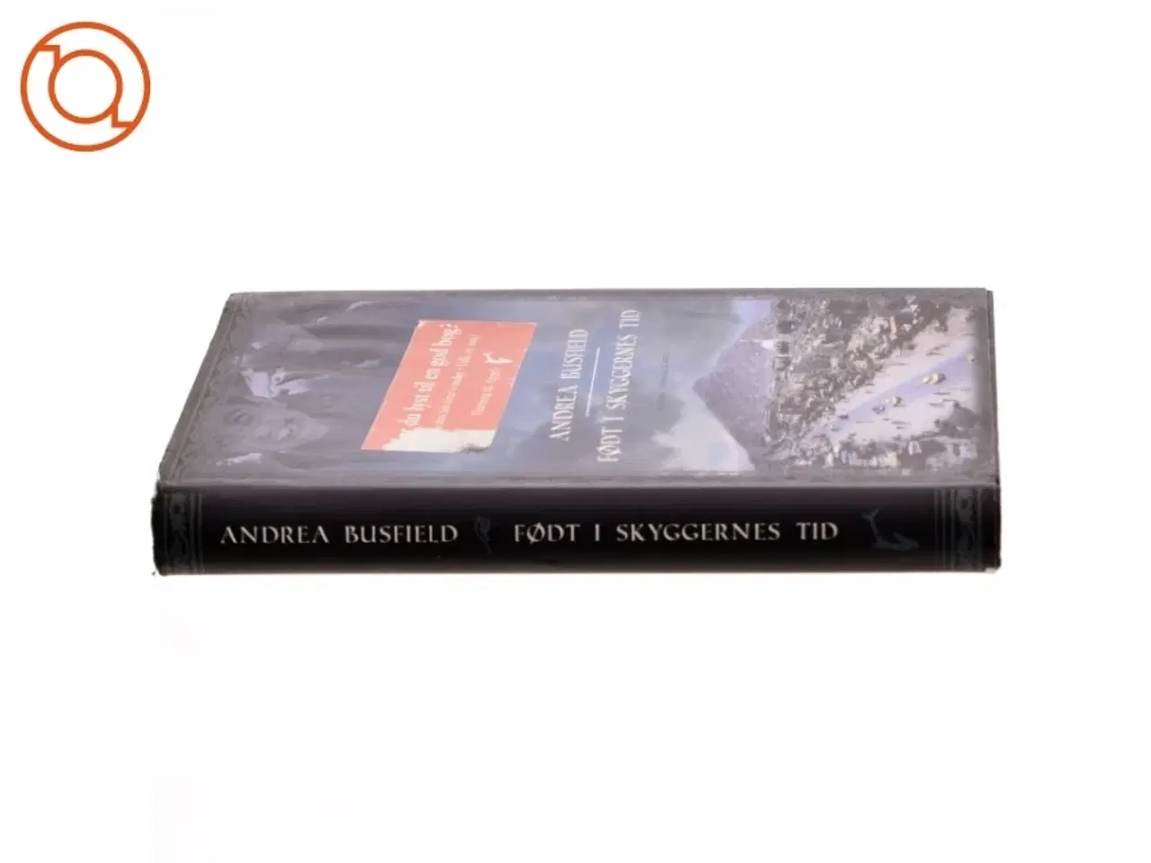 Billede 2 - Født i skyggernes tid : roman af Andrea Busfield (Bog)