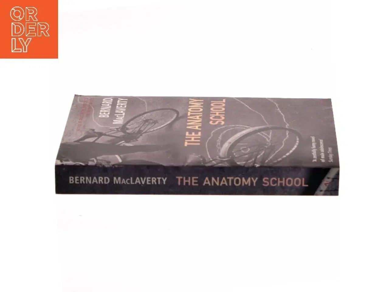 Billede 2 - The Anatomy School af Bernard MacLaverty (Bog)