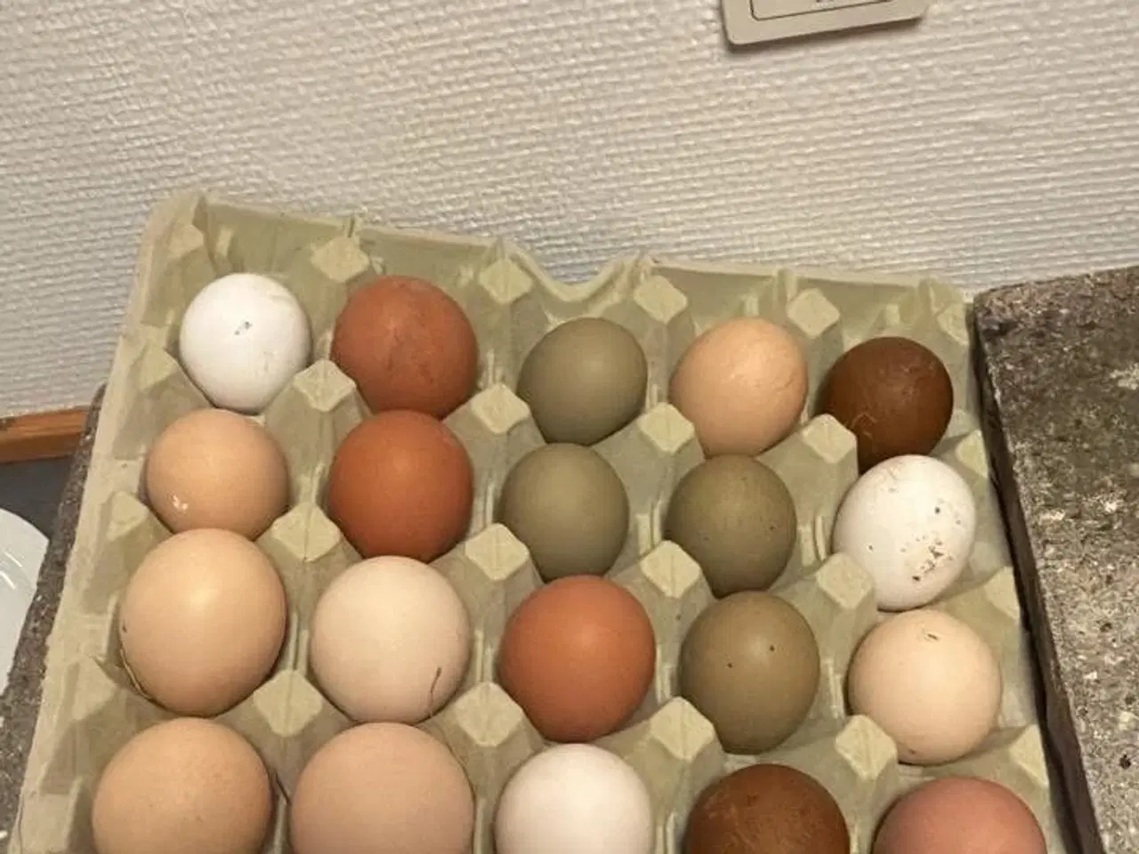 Billede 2 - Rugeæg fra blandede høns stor race