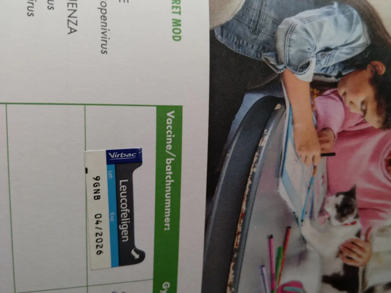 Billede 3 - Vaccineret hun killing med sundhedsbog og tilbehør