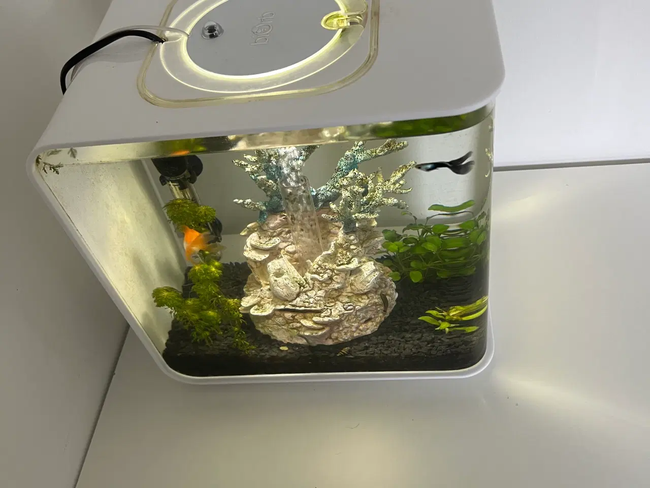 Billede 3 - Biorb akvarie (15 L)