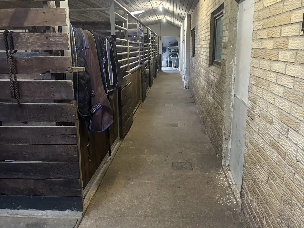 Billede 1 - Bokse udlejes i Stenstrup med ridehus på stedet