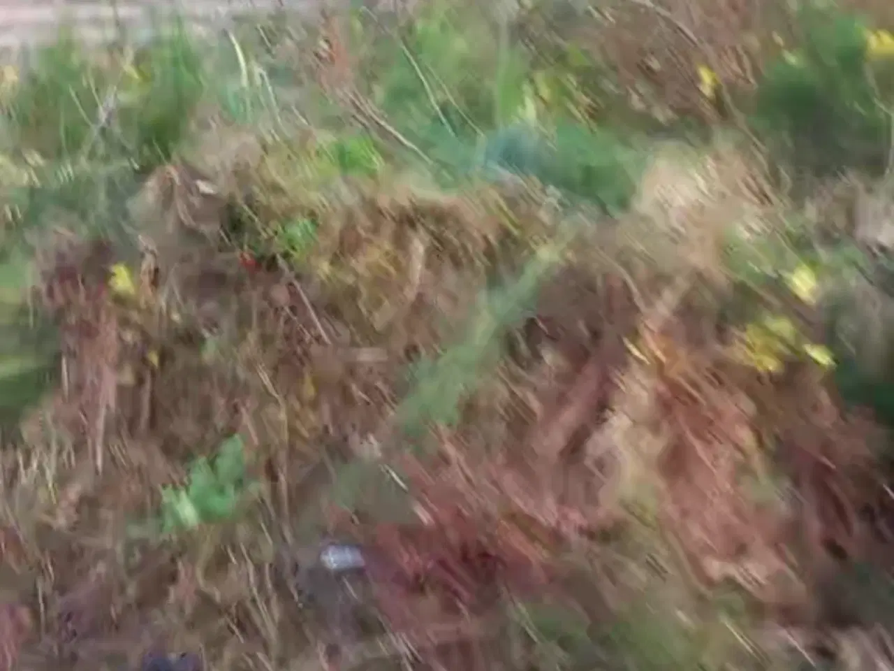 Billede 2 - Hus sælges/ renovering hus sælges