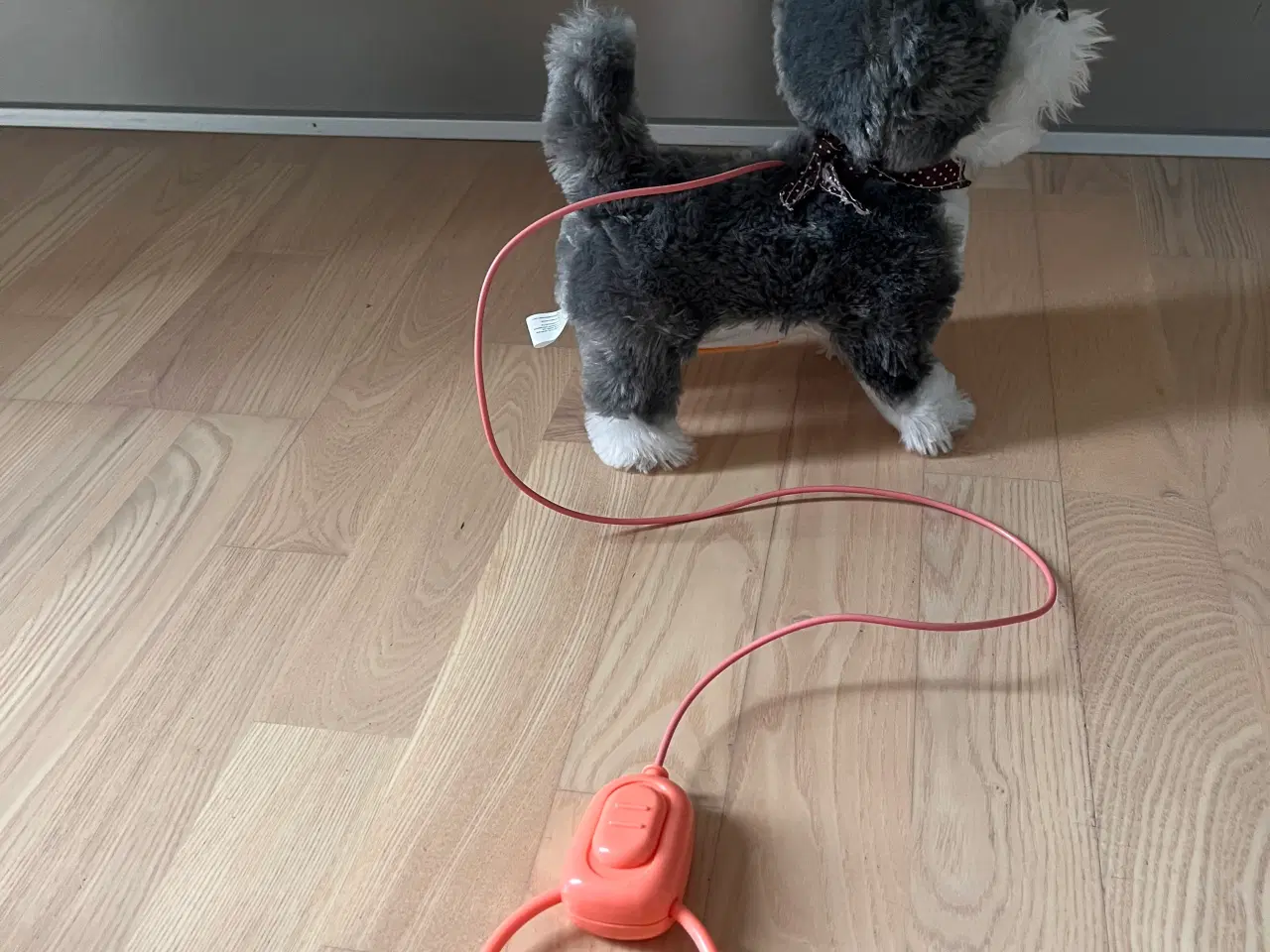 Billede 2 - hund der kan gø og gå