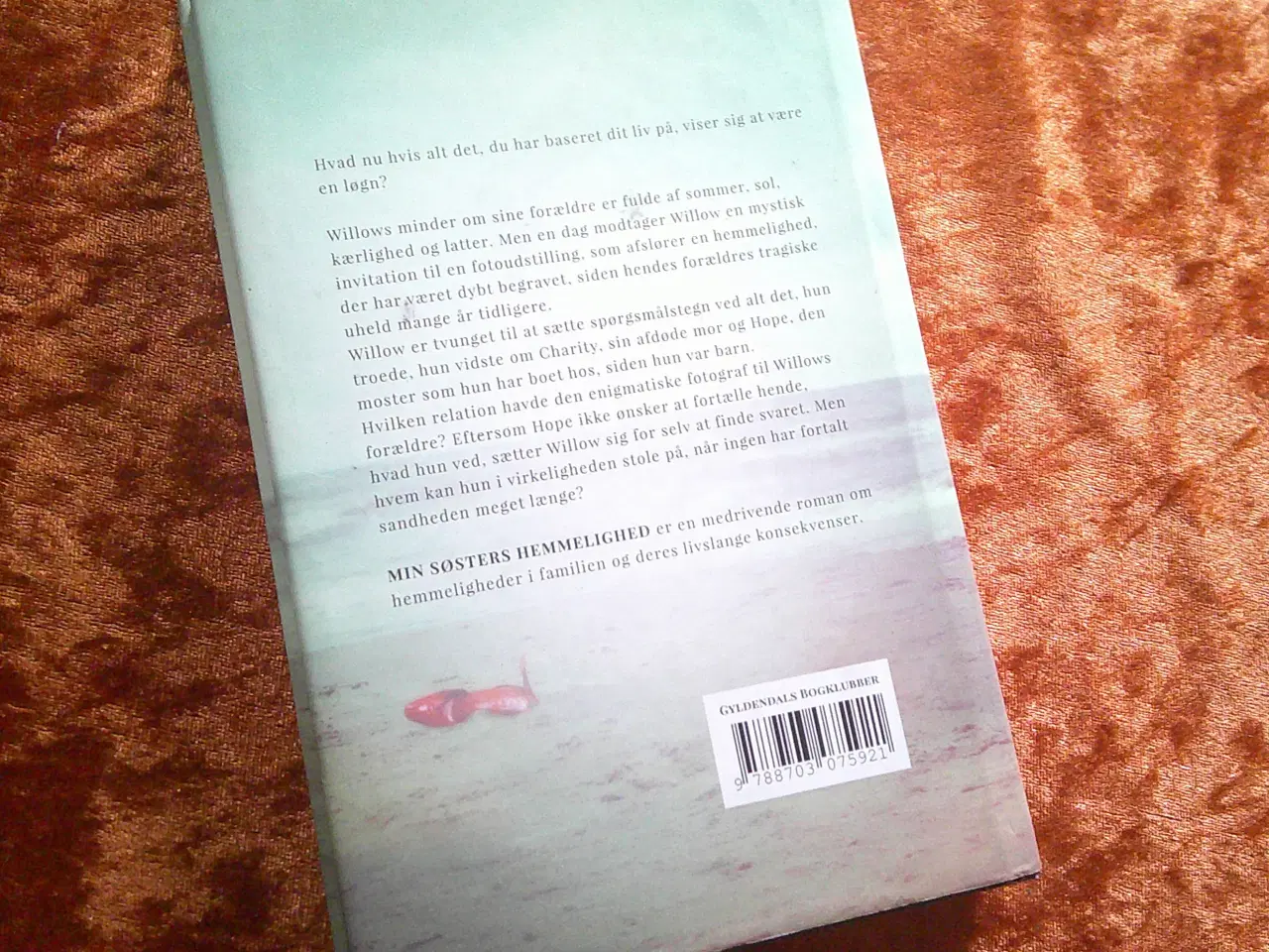 Billede 3 - Min søsters hemmelighed, Tracy Buchanan