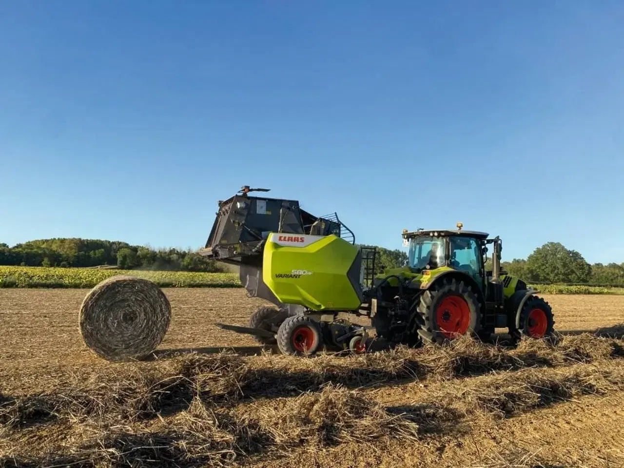 Billede 6 - CLAAS VARIANT 580 RF