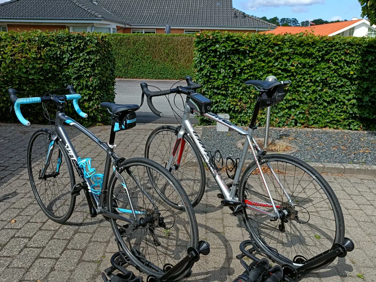 Billede 1 - Dame racer Specialized dolce sport x3 54cm  Herrer