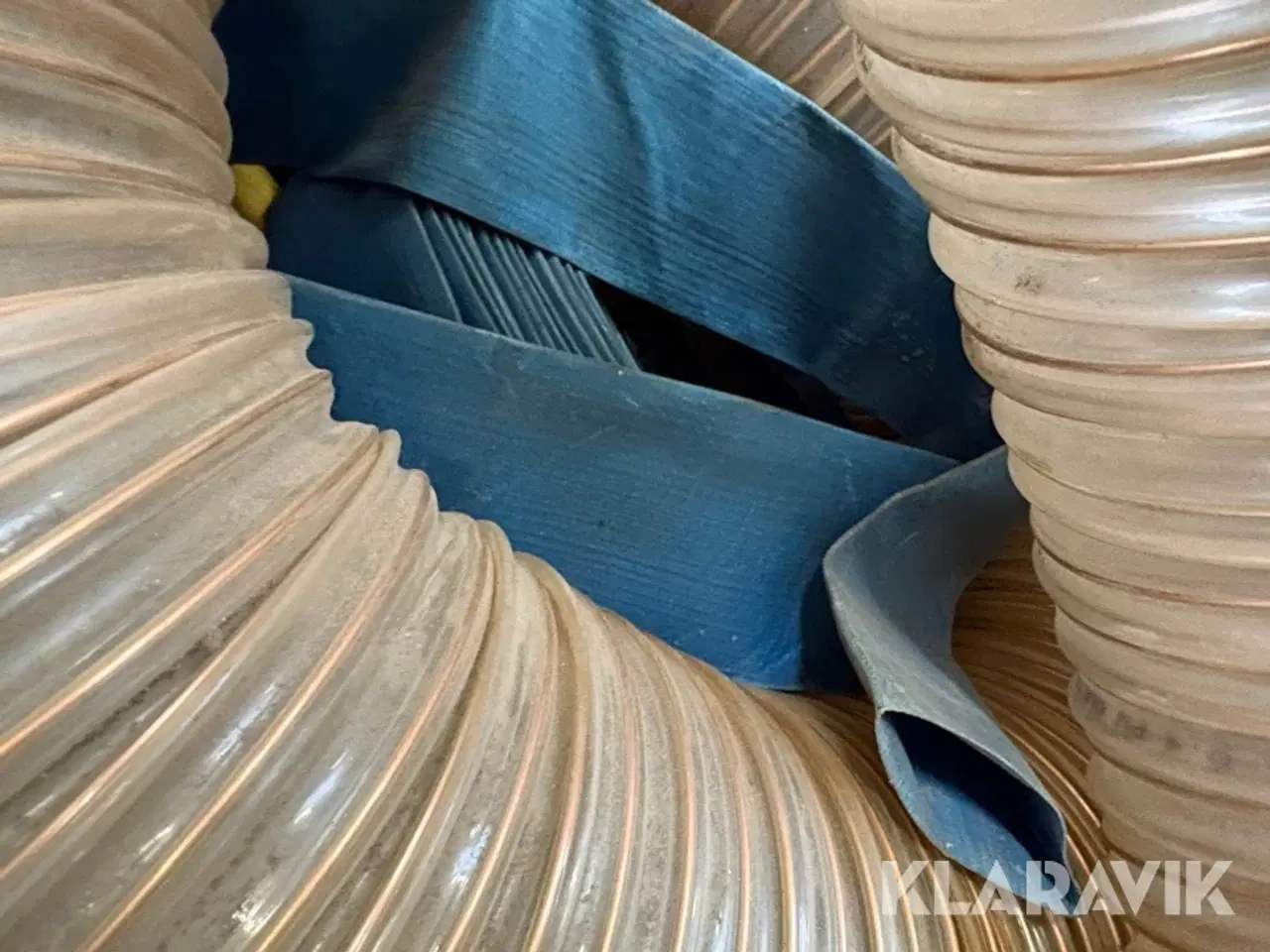 Billede 7 - Diverse slanger